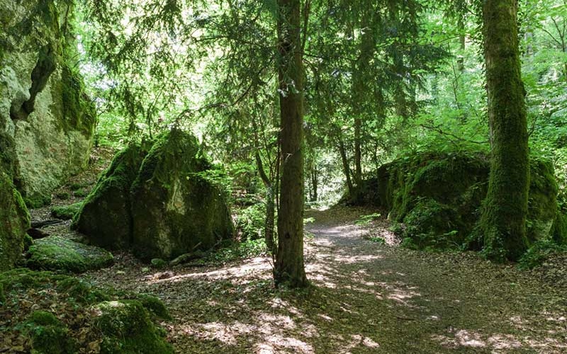 Wolfsschlucht
