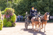 Rossmärt in der Au